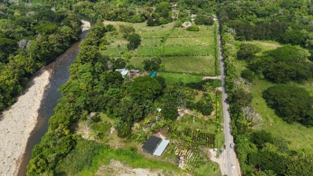 SE VENDE FINCA COMPLETAMENTE PLANA IDEAL PARA DESARROLLO E INVERSION CERCA DE DOMINICAL in San Isidro De El General, Pérez Zeledón, San José — $1,600,000