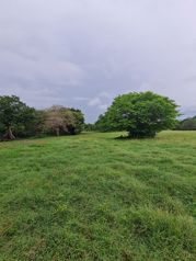 Venta de Finca, Guanacaste, Bagaces - Photo 2 of 3