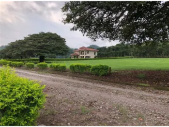 VENTA DE LOTE, PUNTARENAS, MIRAMAR, HACIENDA MONTES DE ORO