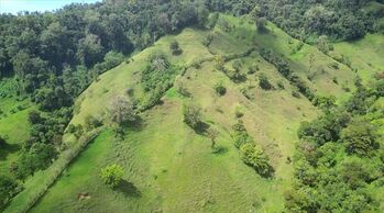 FINCA EN VENTA EN CEDRAL, SAN JOSE. 130 HECTÁREAS in Cajón, Pérez Zeledón, San José — $1,300,000 - Photo 5 of 6
