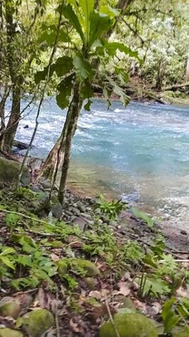 Hermosa finca a la venta en Katira, Guatuso, Alajuela — ₡ 600
