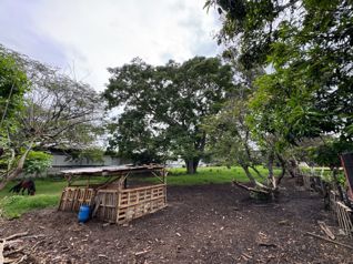 VENDO TERRENO COMPLETAMENTE PLANO EN POZOS DE SANTA ANA. USO DE SUELO MIXTO/COMERCIAL Y RESIDENCIAL en Pozos, Santa Ana, San José — $480,000 - Foto 4 de 5