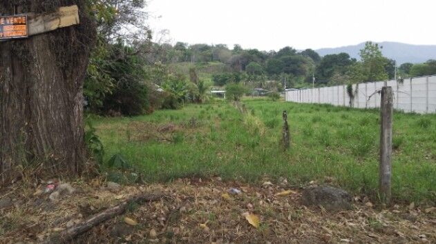 ¡Gran Oportunidad! Lote en Ojo de Agua, Osa, Puntarenas en Puerto Cortés, Osa, Puntarenas — ₡ 29 500 000