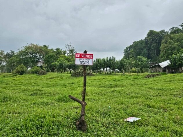 🌿 Finca de 42 hectáreas en Pococí – Naturaleza y potencial turístico en un solo lugar en Rita, Pococí, Limón — ₡ 250 000 000
