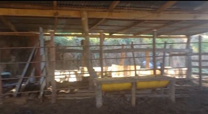 ÚTIL FINCA GANADERA EN SAN RAMÓN.  in Piedades Sur, San Ramón, Alajuela — ₡ 150 000 000