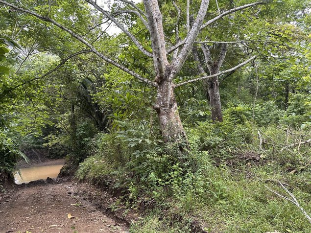 Lote Exclusivo con Río Natural a Minutos de la Playa en Manzanillo in Cóbano, Puntarenas — $230,000 - Photo 2 of 9