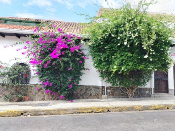 Se alquila casa con amplio patio en Carmen San José 26-1461 en Carmen, San José — $3,950