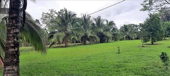 Lote en Venta Las Horquetas, Sarapiquí, Heredia