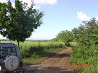 VENTA TERRENO DESARROLLO GUANACASTE, PAPAGAYO en Sardinal, Carrillo, Guanacaste — $34,650,000 - Foto 4 de 20