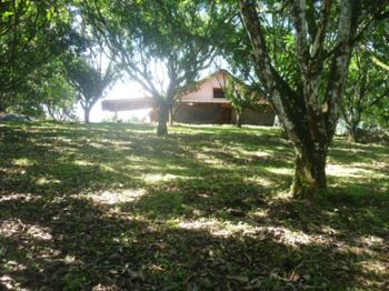 casa de bambú en San Juan De Mata, Turrubares, San José — 140 000 000 ₡ - Foto 4 de 14