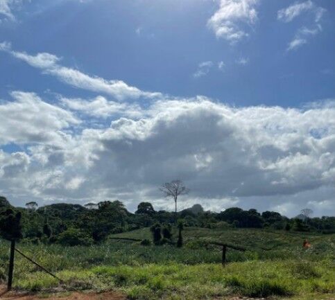 Se vende amplia finca de 8.8 hectáreas en Cureña de Heredia 26-173 en La Virgen, Sarapiquí, Heredia — $550,000