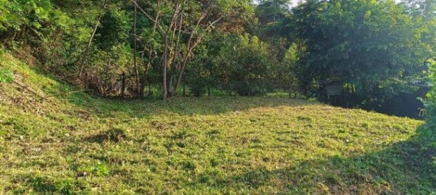 BELLA PROPIEDAD EN COYOLAR DE OROTINA.  en Coyolar, Orotina, Alajuela — ₡ 8 500 000
