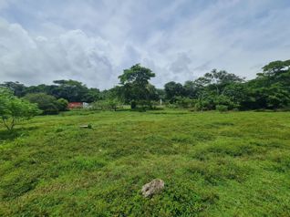 VENTA FINCA BEJUCO in Parrita, Puntarenas — $177,000 - Photo 3 of 5