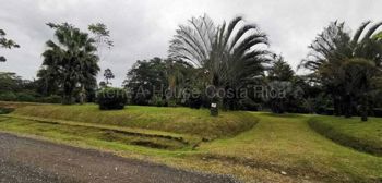 Venta de Lote en Guácimo-Limón. RAH 27-81