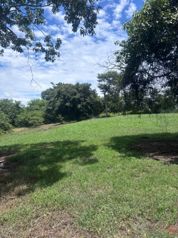 TERRENO INDUSTRIAL TRINIDAD OROTINA en La Ceiba, Orotina, Alajuela — 225 000 000 ₡ - Foto 4 de 9