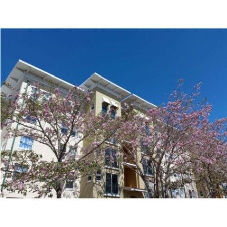 ALQUILER DE APARTAMENTO CON LINEA BLANCA, HEREDIA, SAN PABLO, CONDOMINIO ALTOS DE PALERMO   en San Pablo, Heredia — $950