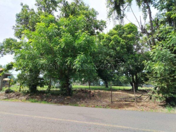 Venta de terreno plano con anteproyecto residencial #26-2228 GS en Labrador, San Mateo, Alajuela — $270,000