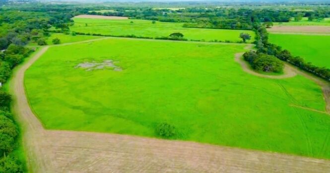 Grow Your Wealth: 10 Hectares of Prime Guanacaste Land for IInvestment en Liberia, Guanacaste — $3,000,000