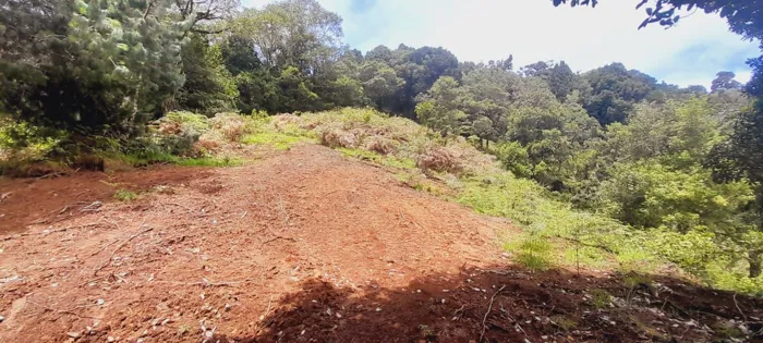 Venta de Lote en Macho Gaff, San Isidro, El Guarco in San Isidro, El Guarco, Cartago — ₡ 50 000 000 - Photo 2 of 18