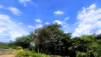 OPORTUNIDAD! Venta de Terreno de 4242 m2 en Grecia. in San Isidro, Grecia, Alajuela — 45 000 000 ₡ - Photo 4 of 9
