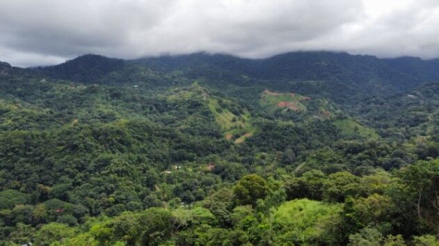 SE VENDE: 36,104 M² EN CORONADO DE OSA en Quepos, Puntarenas — $649,872