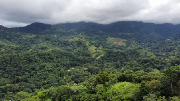 SE VENDE: 36,104 M² EN CORONADO DE OSA in Quepos, Puntarenas — $649,872 - Photo 3 of 10