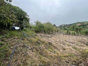 Lote amplio con uso mixto ideal para desarrollo o inversión #26-1709 GS en Santiago, Paraíso, Cartago — $97,700 - Foto 4 de 6