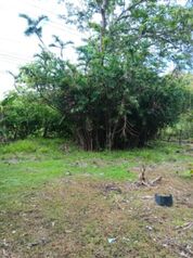 Venta de Lote con Uso de Suelo Mixto en Nicoya de Guanacaste. RAH 25-1975 en Nicoya, Guanacaste — $235,000 - Foto 5 de 7