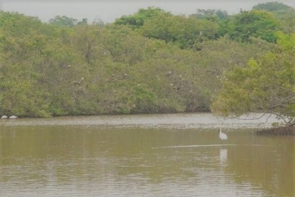 Venta de Lote en Garabito, Puntarenas. RAH 25-818 PLAYA BAJAMAR in Jacó, Garabito, Puntarenas — $180,000