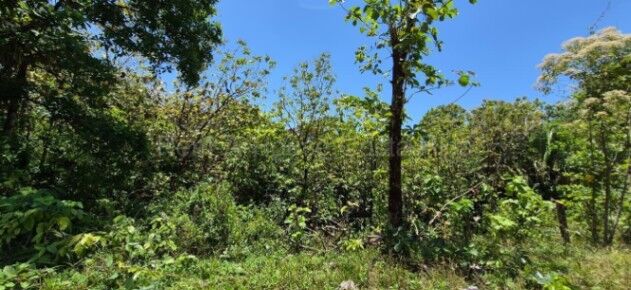 Venta de Lote en Parrita-Puntarenas. RAH 26-1767 en Parrita, Puntarenas — ₡ 150 000 000