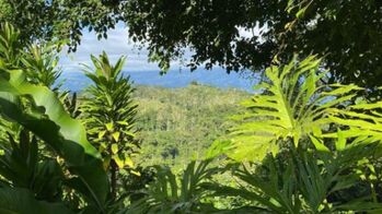 Venta de Finca en Turrialba-Peralta, Cartago. RAH 25-1184 en Peralta, Turrialba, Cartago — $350,000 - Foto 4 de 18