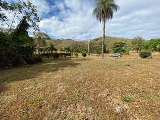 Venta de Lote en Turrubares-San Pablo. RAH 25-1783 in San Pablo, Turrubares, San José — 25 000 000 ₡ - Photo 4 of 13