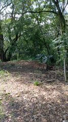 Large mixed use 22,346m2 lot close to the new and old highways in Atenas, Alajuela — $560,000 - Photo 4 of 5