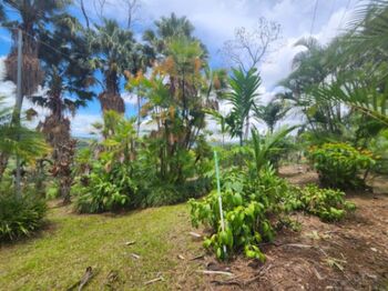 Lote con vista y servicios La Bonita, Rivas, Perez Zeledon en Rivas, Pérez Zeledón, San José — $125,000 - Foto 4 de 16