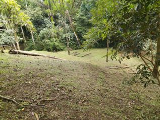 Propiedad Ideal para Descanso en Medio de la Naturaleza in San Pedro, Turrubares, San José — $85,000 - Photo 3 of 31