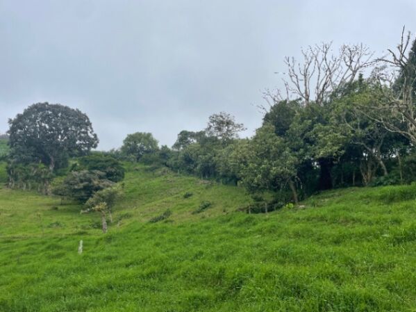 Lote de quinta espectacular  in San Rafael, Vázquez de Coronado, San José — ₡ 27 000