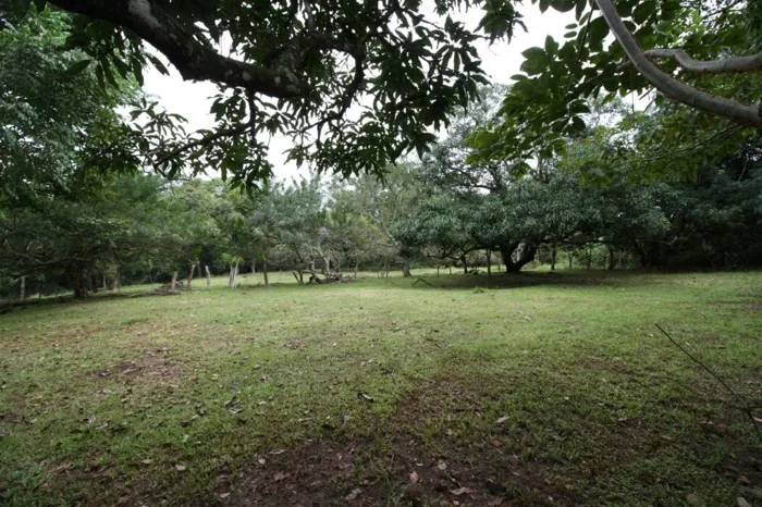Venta de propiedad en Orotina- Uso mixto-Alta cobertura in Orotina, Alajuela — $600,000 - Photo 2 of 14