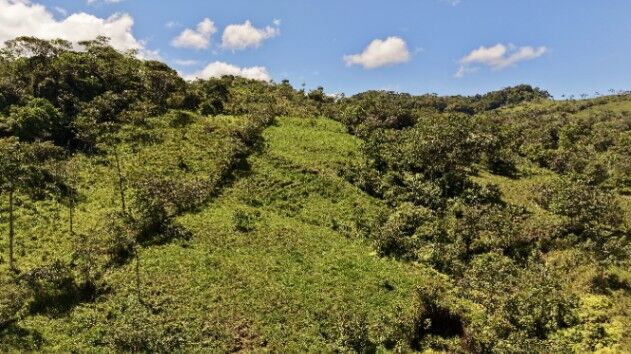 VENTA DE REFUGIO NATURAL DE 3.2 HA EN LAS FALDAS DEL CHIRRIPO in El General, Pérez Zeledón, San José — $142,989