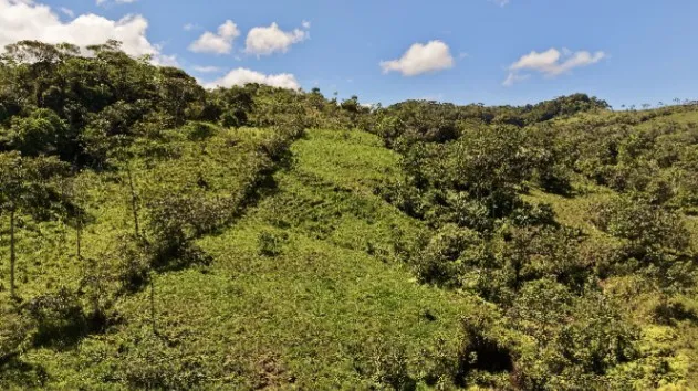 VENTA DE REFUGIO NATURAL DE 3.2 HA EN LAS FALDAS DEL CHIRRIPO in El General, Pérez Zeledón, San José — $142,989 - Photo 3 of 25