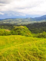 Se venden 4 hectareas con vista Al Volcán en La Fortuna. en La Fortuna, San Carlos, Alajuela — 190 000 000 ₡ - Foto 4 de 8
