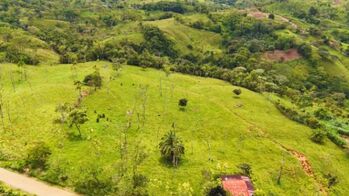 EN VENTA: TERRENO DE 5.12 HECTÁREAS EN MIRAFLORES, PÉREZ ZELEDÓN en El General, Pérez Zeledón, San José — $330,000 - Foto 5 de 17