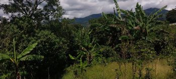 Propiedad con casa antigua e impresionantes vistas, San Luis de Santo Domingo 9,621 mtrs2 en Pará, Santo Domingo, Heredia — 350 000 000 ₡ - Foto 3 de 10