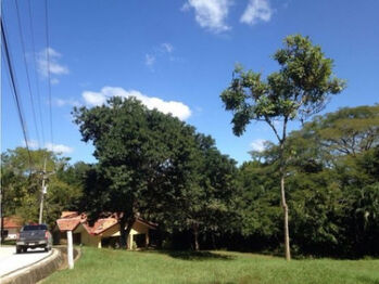 VENTA DE LOTE, GUANACASTE, CARRILLO, CONDOMINIO LOMA VERDE in Belén, Carrillo, Guanacaste — $150,000 - Photo 5 of 7