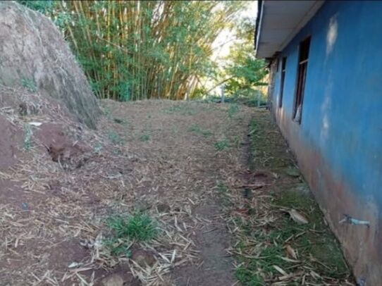 VENDO PROPIEDAD GRANDE CON CASA EN PURISCAL.  en Candelarita, Puriscal, San José — ₡ 17 000 000