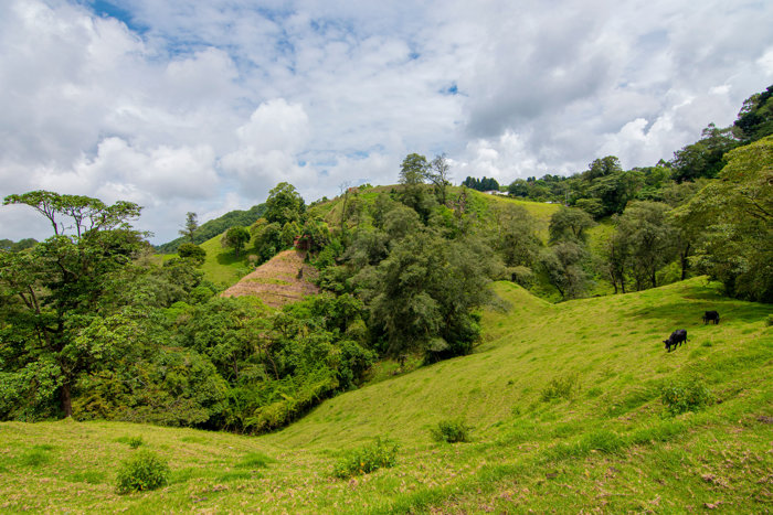 VENTA DE FINCA, CARTAGO, CARTAGO, LLANO GRANDE en Llano Grande, Cartago — ₡ 225 000 000