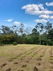 En VENTA: Hermoso terreno en La Palmera de Ciudad Quesada. en Quesada, San Carlos, Alajuela — 25 000 000 ₡ - Foto 4 de 14