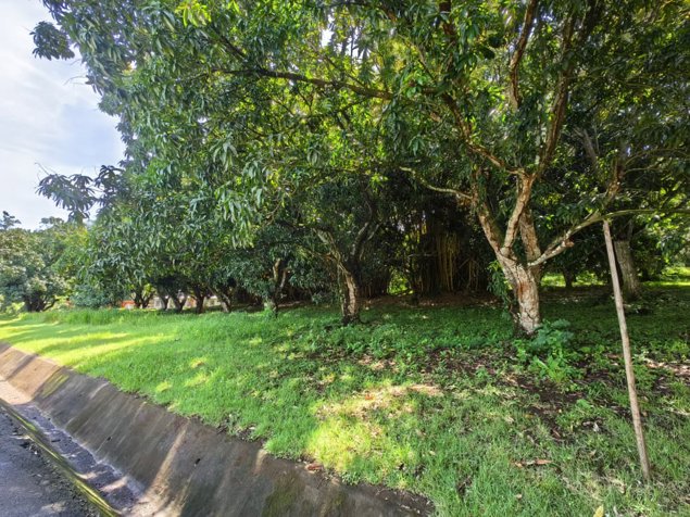 EN VENTA Lote en Condominio Hacienda Los Ceibos Orotina en La Ceiba, Orotina, Alajuela — $168,660