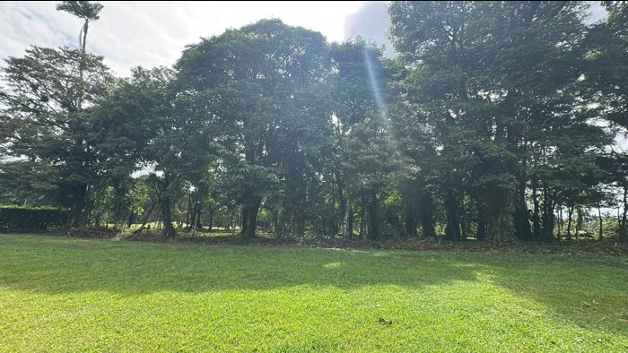 Venta de Quintas en Sarapiquí in Las Horquetas, Sarapiquí, Heredia — ₡ 140 000 000 - Photo 2 of 10