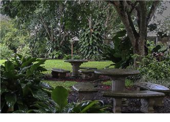 Quinta En Venta Palmitos de Naranjo 5,855m2 in Palmitos, Naranjo, Alajuela — $300,000 - Photo 5 of 7