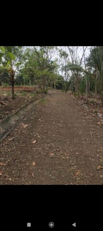 Excelente terreno para desarrollo  in Parrita, Puntarenas — ₡ 276 989 500